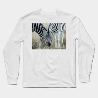 Grazing zebra on African plains Long Sleeve T-Shirt